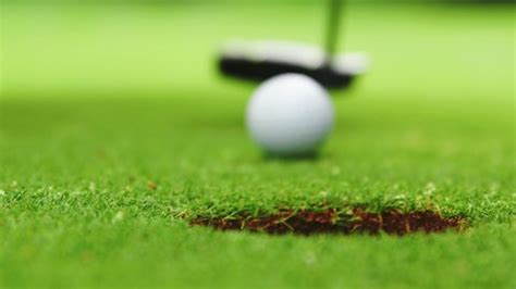 Golf运动 的图像结果