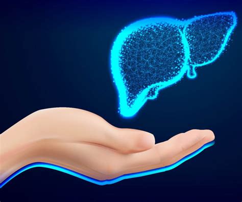 Choosing Safe and Effective Liver Detox Supplements: Tips for Consumer ...