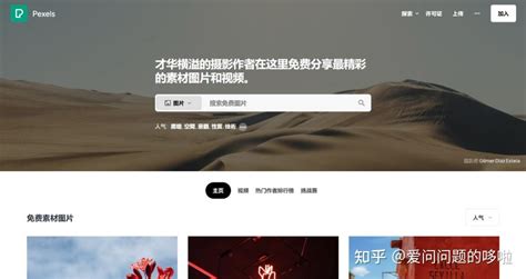 Online Pictu 的图像结果