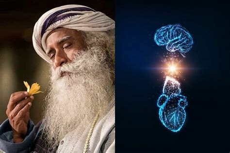 Sadhguru Tips: Jaggi Vasudev Shares Guide to Managing Emotional ...