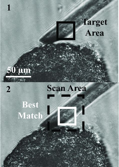 Image result for 2nd Pattern Matching Algorithm