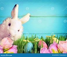 Image result for Little Easter Bunny