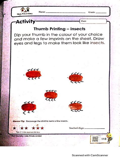 Image result for Project File Holiday Homework