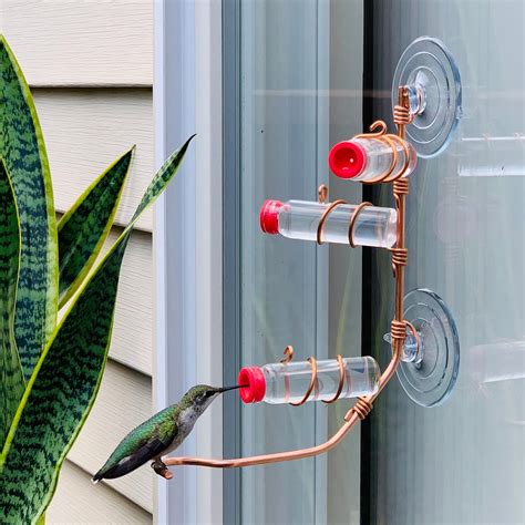 Hummingbird Feeders And Accessories