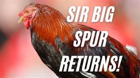TheBigSpurcom