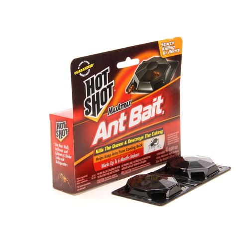 Is Hot Shot Ant Bait Harmful To Dogs