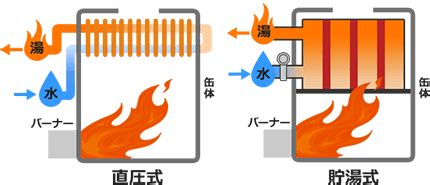 Image result for Along Python Drawing