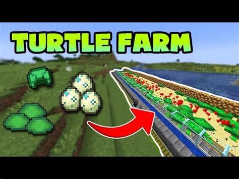 Image result for Minecraft Turtle Farm Tutorial