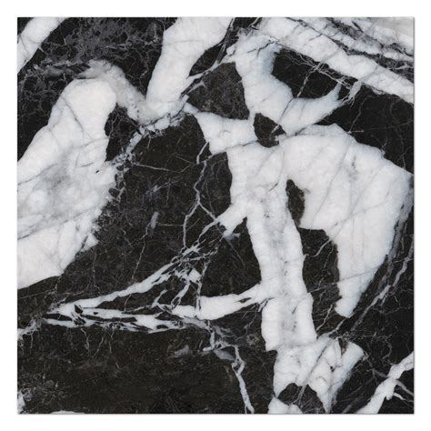 SENZIA 8x8 Square Matte Porcelain Wall/Floor Tile, Sample Swatch ...