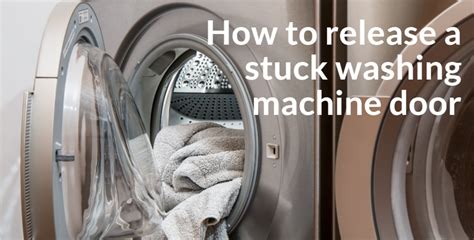 Stuck Inside Washing Machine 的图像结果