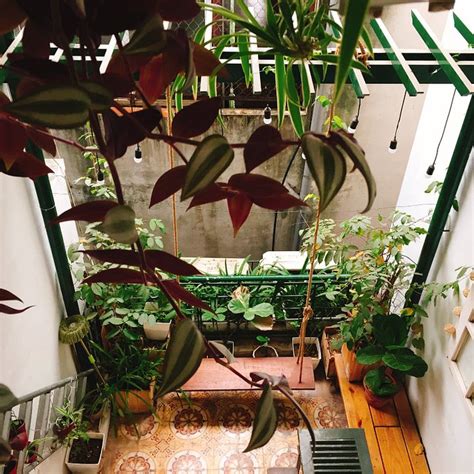 JARDIN D'ETE HANOI HOMESTAY - Lodge Reviews & Photos - Tripadvisor