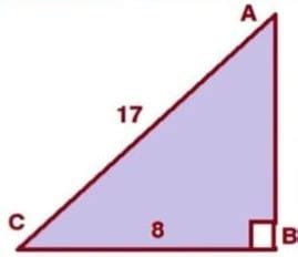 HOTS Question Answers: The BAUDHĀYANA- Pythagoras Theorem - Mathematics ...