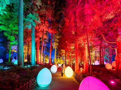 teamLab zaubert auf dem Ume Matsuri 2021 in Mito