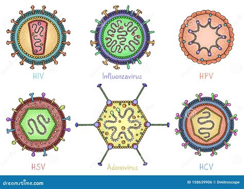 Set of Different Viruses in Hand Drawn Style. Color Diagrams Showing ...