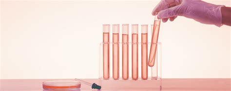 Image result for Origine Lab Tutorial