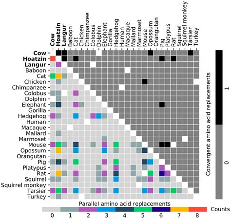 ProtParCon: A Framework for Processing Molecular Data and Identifying ...