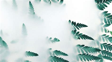 Image result for Simple Nature Computer Wallpaper