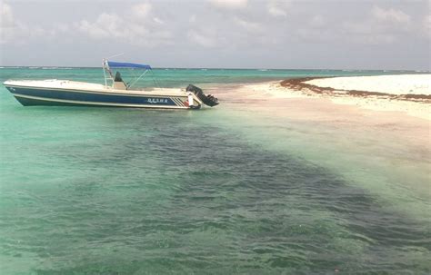 Anguilla Cays island, Cay Sal Bank, Bahamas - Ultimate guide (January 2026)