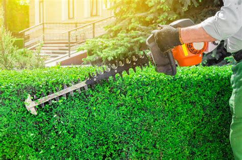 We use only the best quality equipment and tools to ensure your garden ...