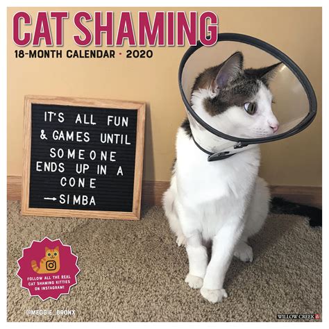 Cat Shaming Calendar