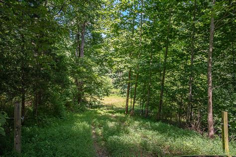 Land for Sale in Madison County, VA, Madison County, VA Land for Sale ...