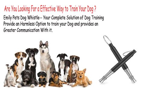 emily pets Sri Pet Training Clicker and Whistle for Dog, Cat, Kitten ...