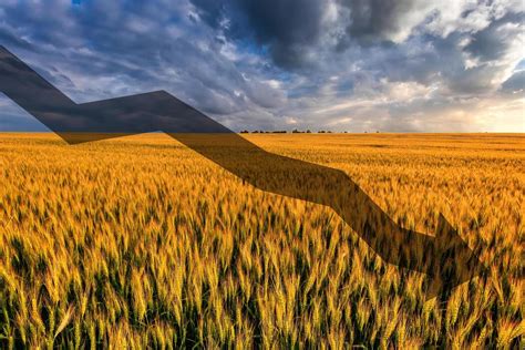 Agriculture Cover Page Design 的图像结果