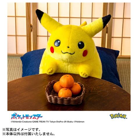 Pokémon's full-fat Pikachu, 1:1 to original, returns as plush for 30th anniversary - Anime ...
