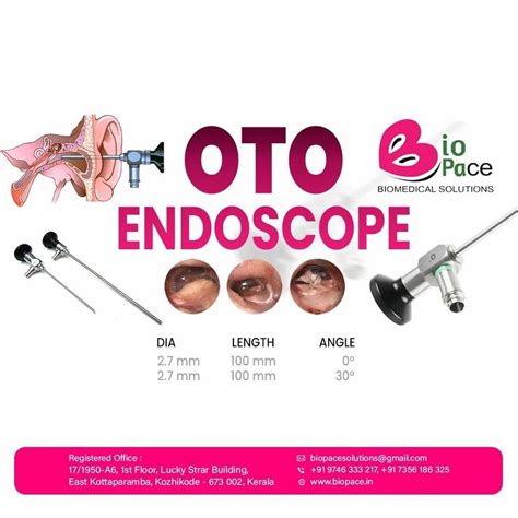 Otoscope Products - Bio Pace Otoscope Set Wholesale Trader from Kozhikode