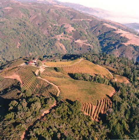 Mount Eden Vineyards