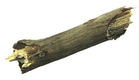 Image result for HTML Log PNG