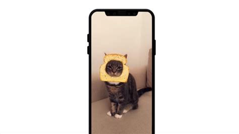 Snapchat now offers photo filters for your cat | Tech News (HT Tech)