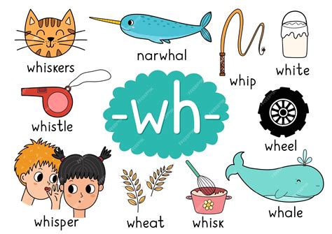 Premium Vector | Wh digraph spelling rule educational poster for kids ...