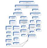 Castleman Disease - howitreat.in