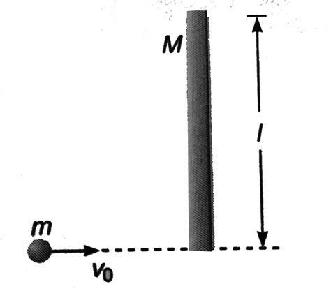 A boy mass m runs on ice with velocity `v_()` and steps on the end of a ...