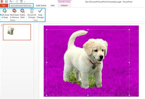 Image result for Remove Background PowerPoint