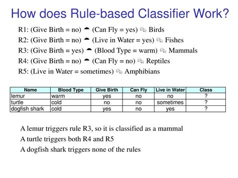 Image result for How Rule-Based Classifiers Problem