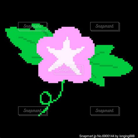 Image result for Automatic Image Colorization