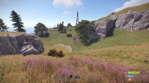 Image result for Ping Issues Rust