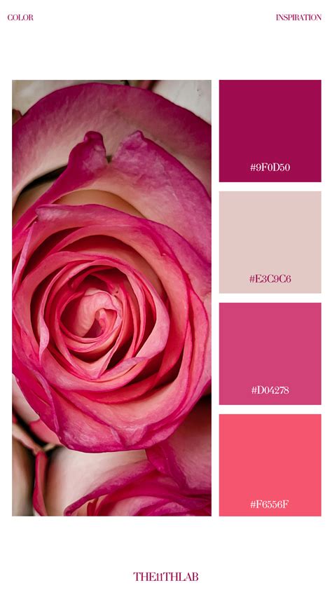 Radiant Rouge | Color palette pink, Color palette design, Pink palette