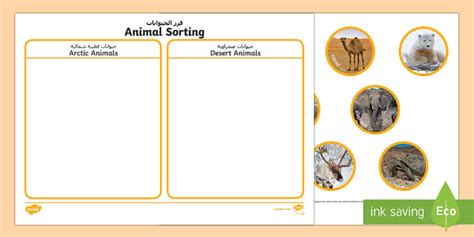 Animal Sorting Activity Arabic/English (teacher made)