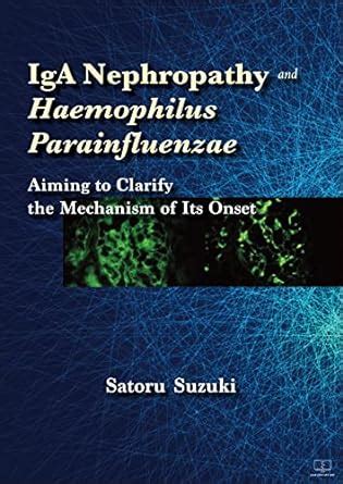 IgA Nephropathy and Haemophilus Parainfluenzae：Aiming to Clarify the ...