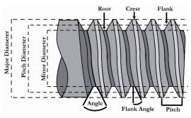 Image result for Thread Root
