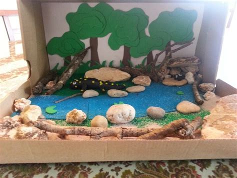 Ecosystem Project 的图像结果