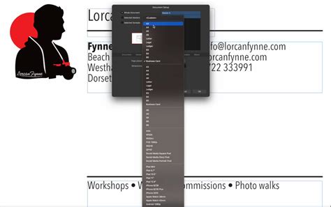 Image result for Affinity Designer Poster Tutorial