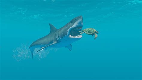 Image result for All Animals in Stranded Deep