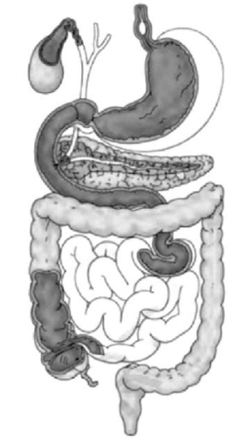 Image result for Class 7th Science Chapter 2