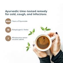 Wellbeing Nutrition Grandma's Kadha- Ayurvedic Kadha Tea | Ayush Kwath ...