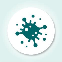 Cervical Cancer | Reproductive system