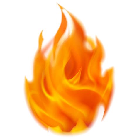 Commentary On Revelation 的图像结果